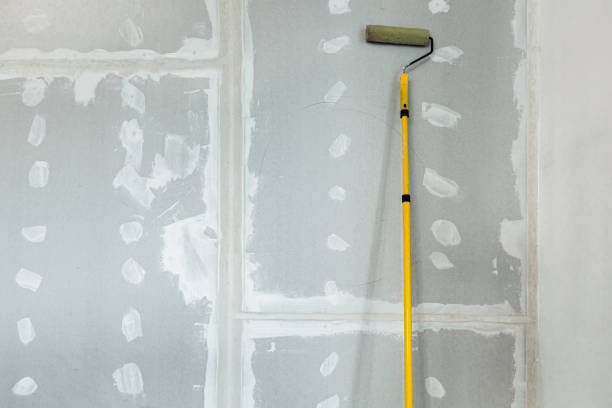 Best Asbestos and Lead Testing During Mold Inspection  in Hokendauqua, PA