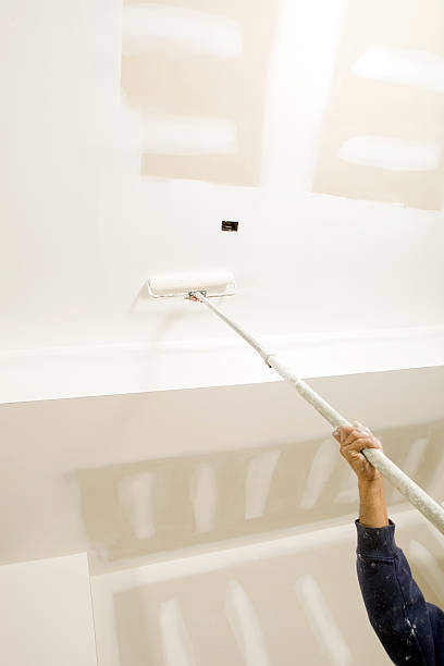 Professional Mold Removal in Hokendauqua, PA